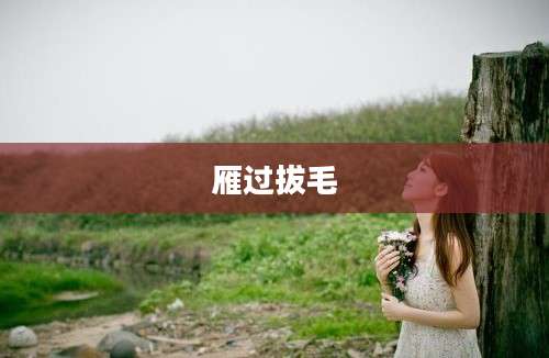雁过拔毛