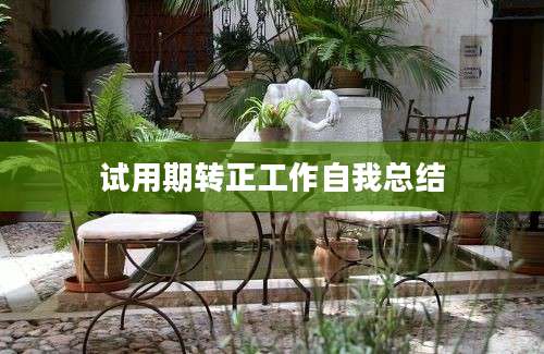 试用期转正工作自我总结