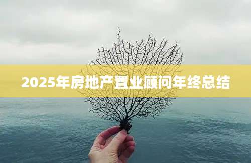 2025年房地产置业顾问年终总结