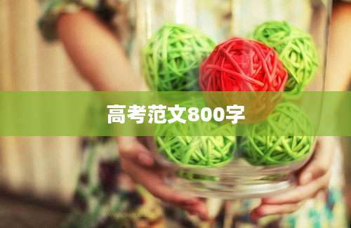 高考范文800字