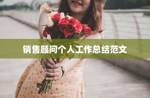 销售顾问个人工作总结范文