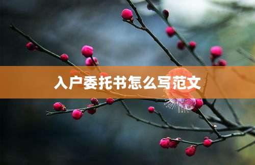 入户委托书怎么写范文
