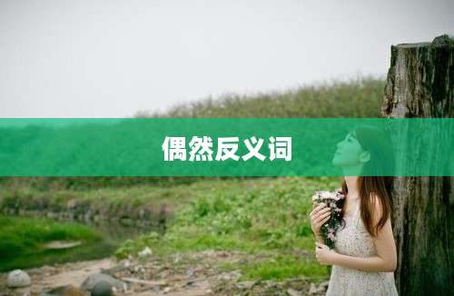偶然反义词