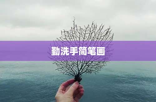 勤洗手简笔画