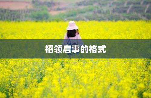 招领启事的格式