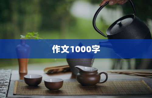 作文1000字
