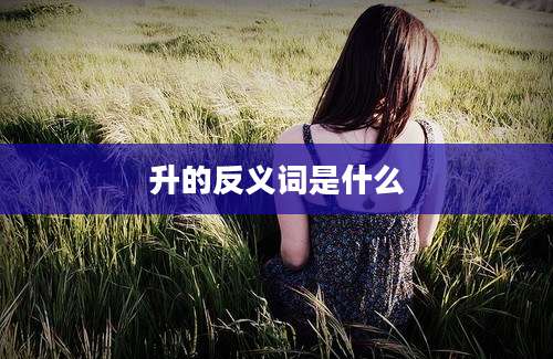 升的反义词是什么