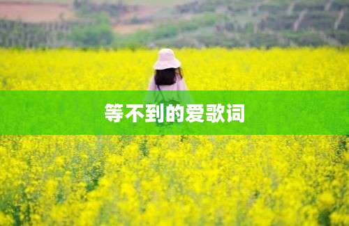 等不到的爱歌词