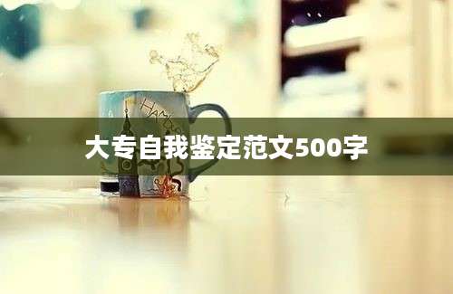 大专自我鉴定范文500字