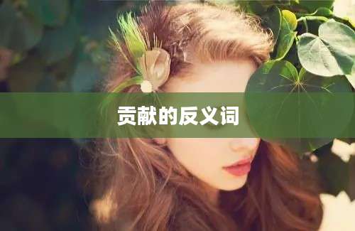 贡献的反义词
