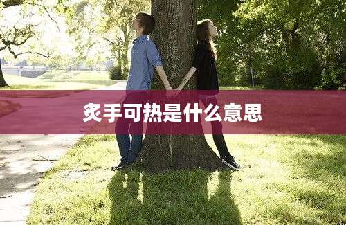 炙手可热是什么意思