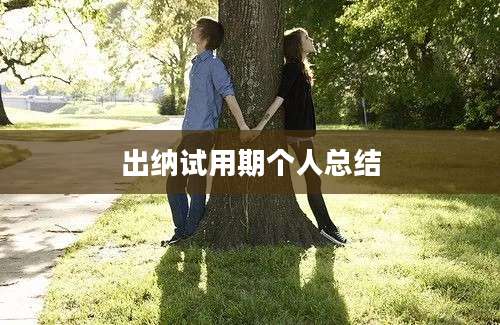 出纳试用期个人总结