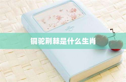 铜驼荆棘是什么生肖