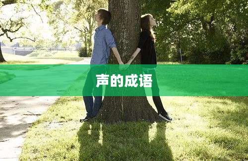 声的成语