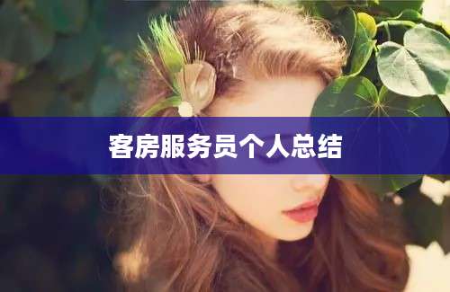 客房服务员个人总结