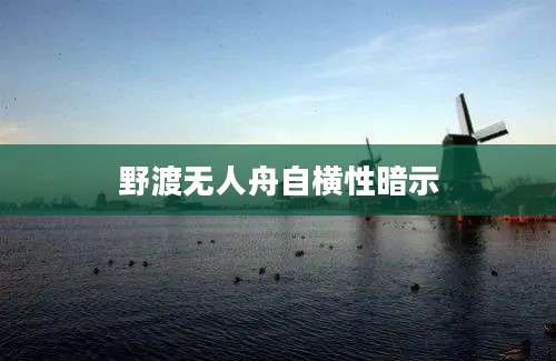 野渡无人舟自横性暗示