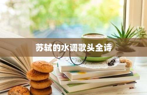 苏轼的水调歌头全诗