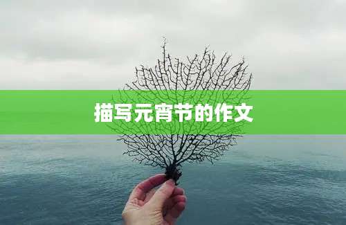 描写元宵节的作文