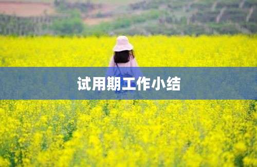 试用期工作小结