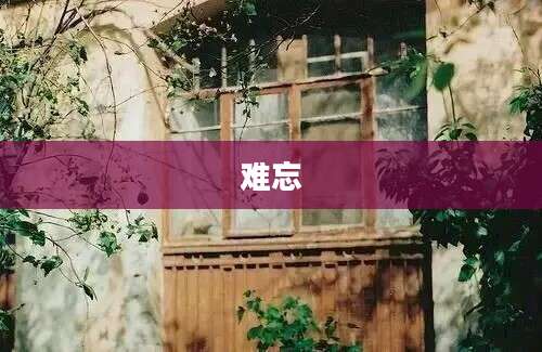 难忘