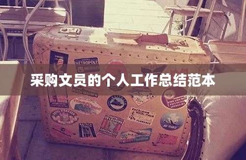 采购文员的个人工作总结范本