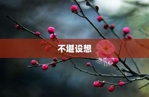 不堪设想