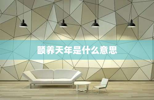 颐养天年是什么意思