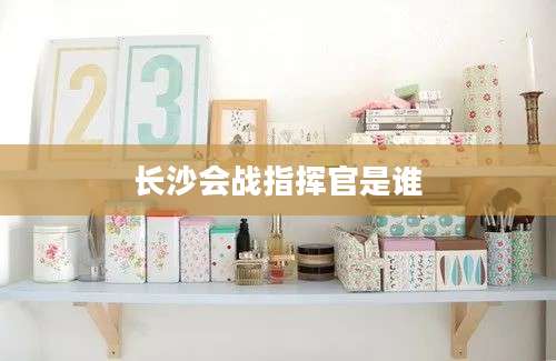长沙会战指挥官是谁