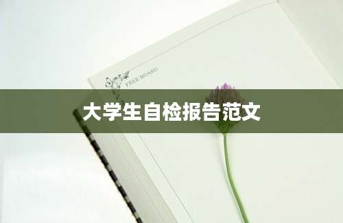 大学生自检报告范文