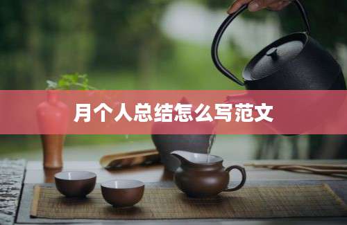 月个人总结怎么写范文