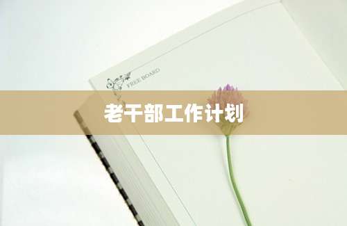 老干部工作计划