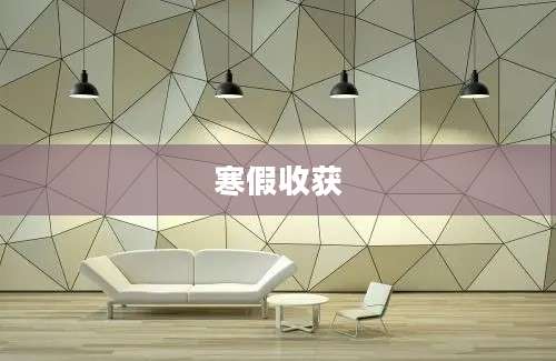 寒假收获