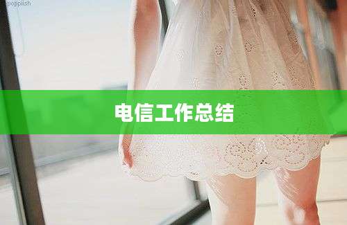 电信工作总结