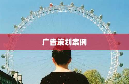 广告策划案例