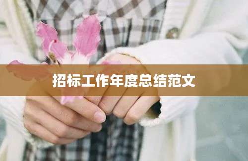 招标工作年度总结范文