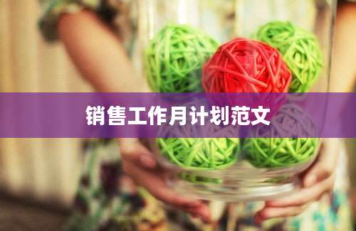 销售工作月计划范文