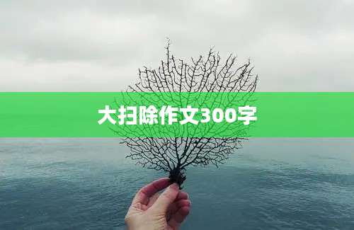 大扫除作文300字