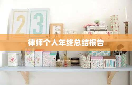 律师个人年终总结报告
