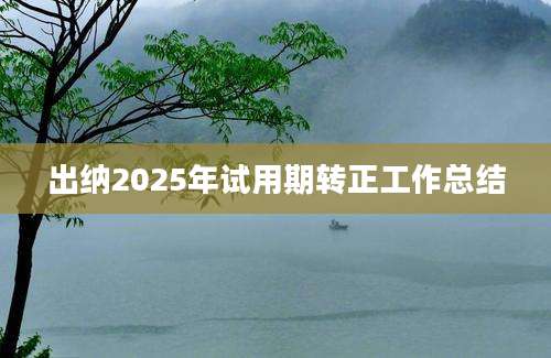 出纳2025年试用期转正工作总结