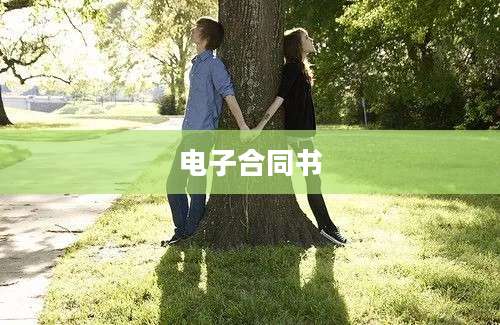 电子合同书