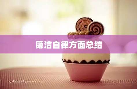廉洁自律方面总结