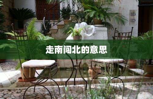 走南闯北的意思
