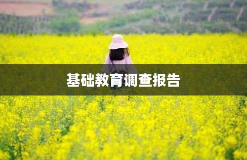 基础教育调查报告