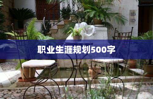 职业生涯规划500字