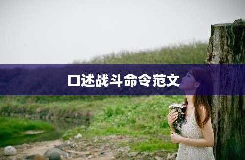 口述战斗命令范文