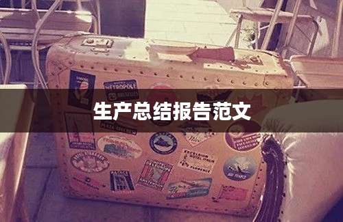 生产总结报告范文