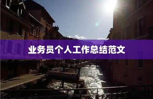 业务员个人工作总结范文