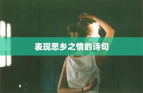 表现思乡之情的诗句