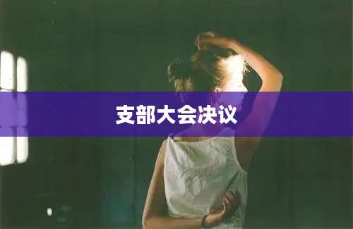 支部大会决议