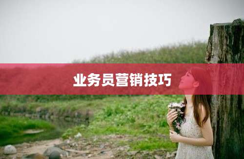业务员营销技巧